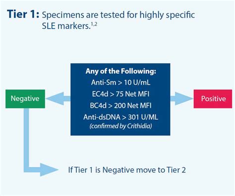 elisa test lupus|lupus blood test interpretation.